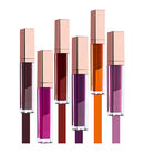 Common Makeup Long Lasting Matte Lipstick Waterproof Cosmetics Lipgloss