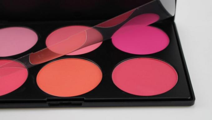 Mineral Long Lasting Cream Blush Colour Palette Waterpoof For Girls , 22.8x15x1cm