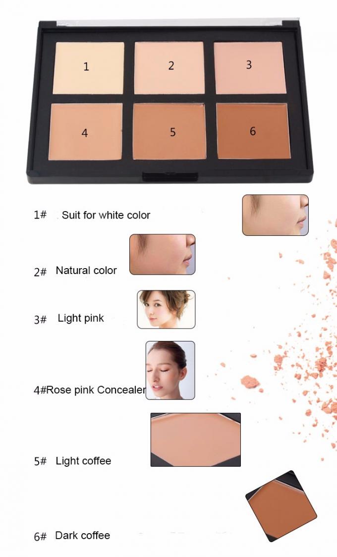 Hot Style OEM 6 Color Waterproof Concealer With Transparent Cover