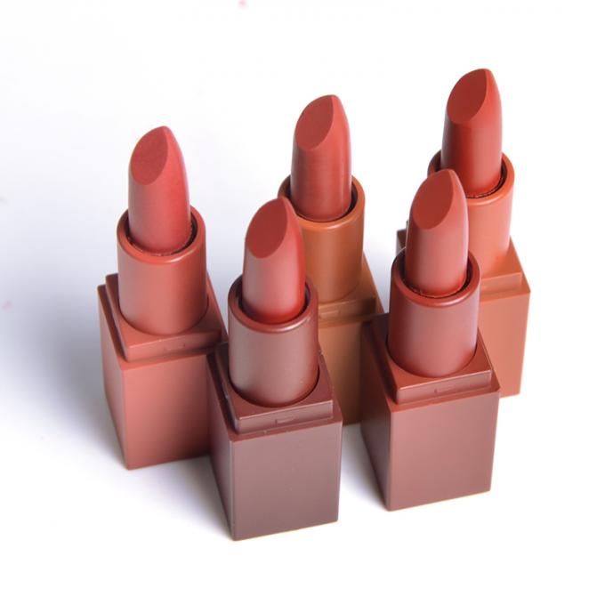 Waterproof Cosmetics Lip Makeup Products 24 Hours Long Lasting Matte Lipstick Set