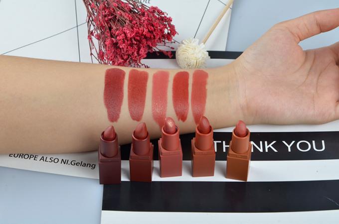 5 Color Lip Makeup Products Matte Cream Lipstick Set High Pigment Waterproof