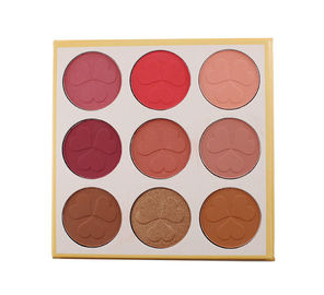 9 Color Face Base Makeup  Blusher / Palette Waterproof Blusher