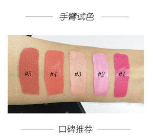 Mineral Ingredient Face Makeup Blush High Pigment Long Lasting 5 Colors Easy To Carry